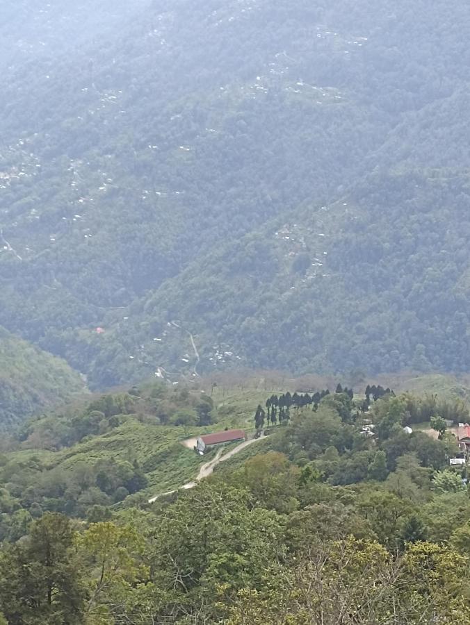 Bastola Stay دارجيلنغ المظهر الخارجي الصورة